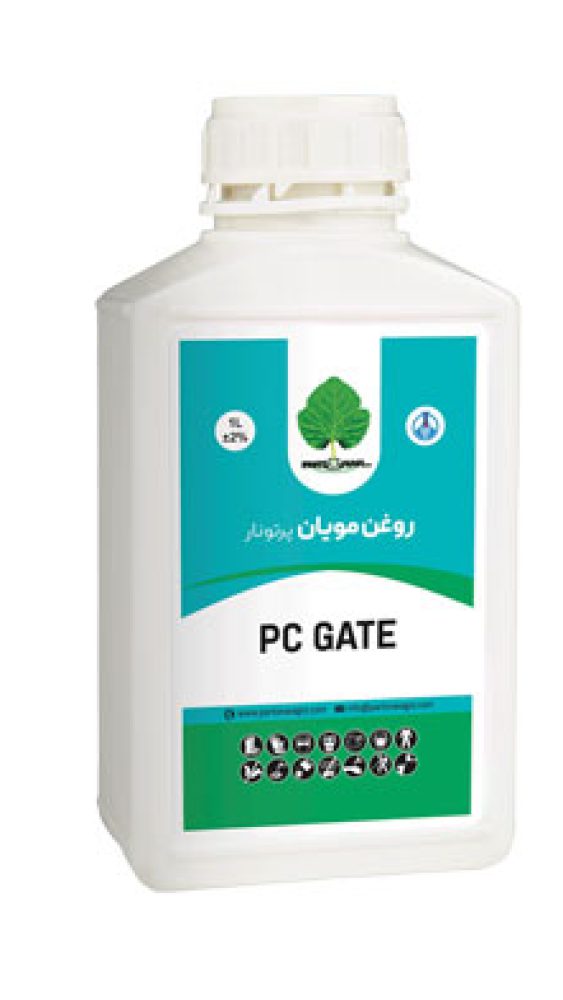 تصویر گالری